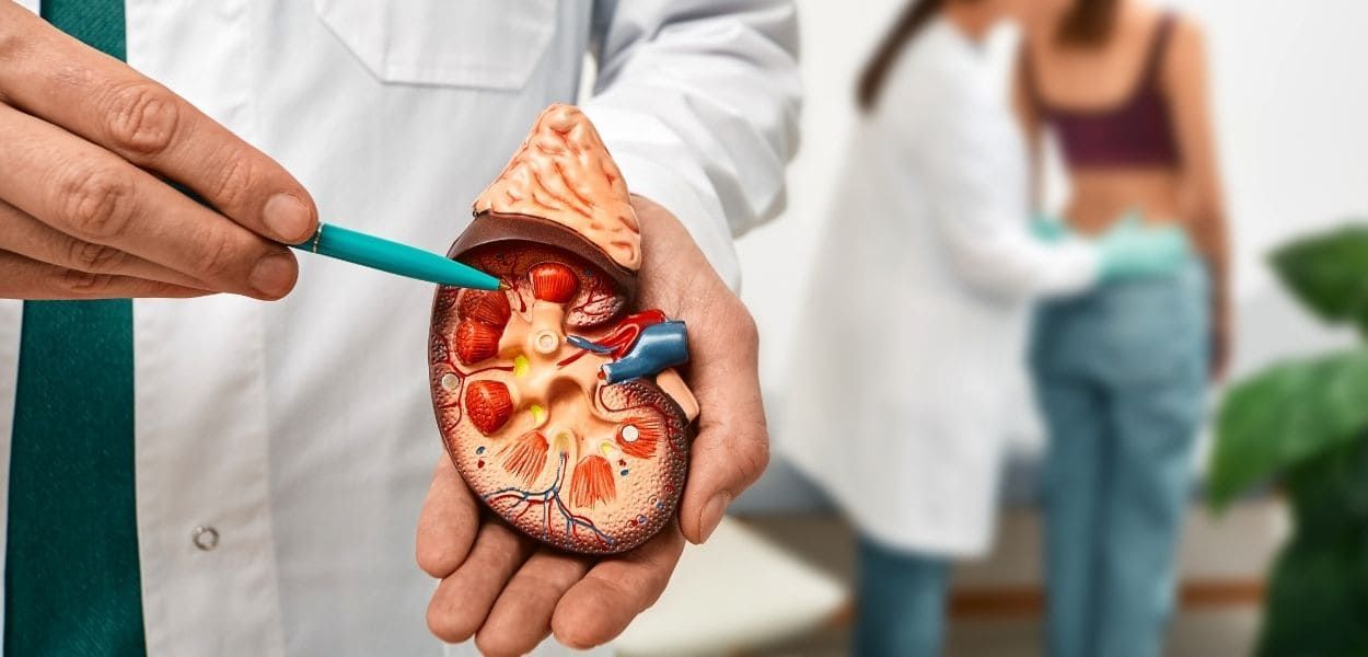 kidney.jpg